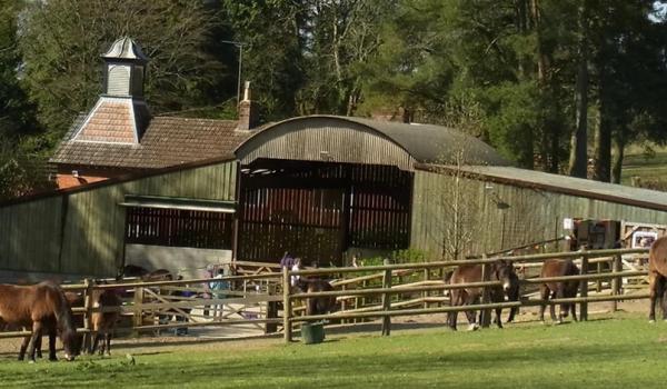 Annual General Meeting 2024