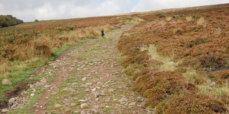 British Horse Society - Project 2026 - Repealed