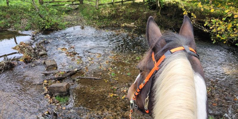 Self guided riding routes