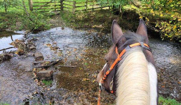 Self guided riding routes